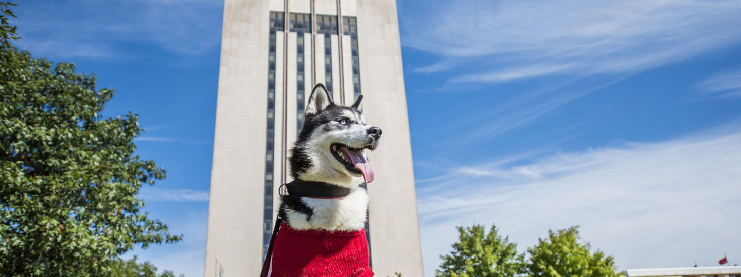 NIU Mascot Mission outside of Holmes Student Center